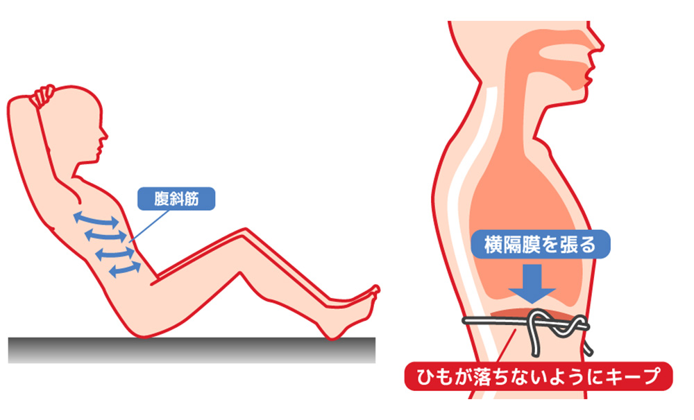 歌が上手くなるボイトレ練習方法⑥歌うために必要な筋肉とトレーニング方法を解説