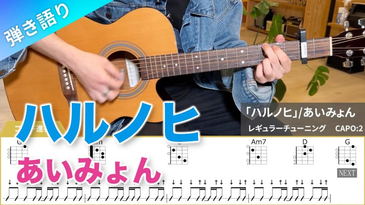 ギターレッスン「ハルノヒ」弾き語り【難易度A】初心者